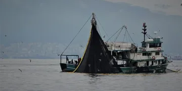 Bursa’da haberi duyan balıkçılar denize açıldı