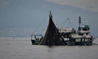 Bursa'da haberi duyan balıkçılar denize açıldı