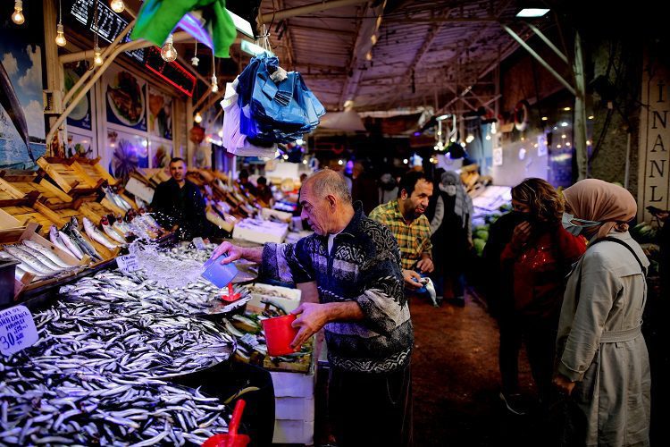 Balık bolluğu Bursa'da fiyatlara yansıdı
