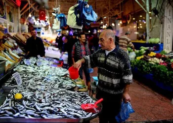 Balık bolluğu Bursa’da fiyatlara yansıdı