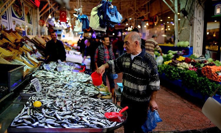 Balık bolluğu Bursa'da fiyatlara yansıdı