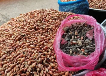 Bursa’da 10 kiloluk soğan çuvalında 3,5 kilo taş çıktı