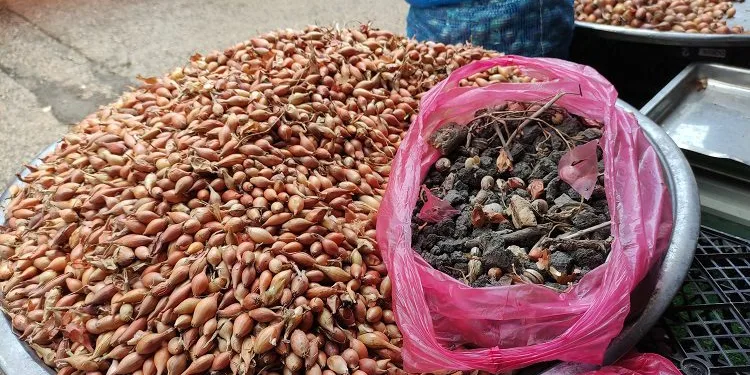 Bursa’da 10 kiloluk soğan çuvalında 3,5 kilo taş çıktı