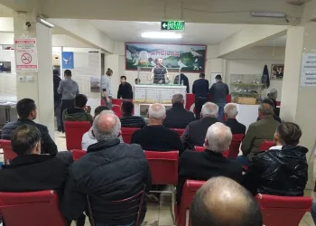 Bursa’da güvercin mezadına akın ettiler