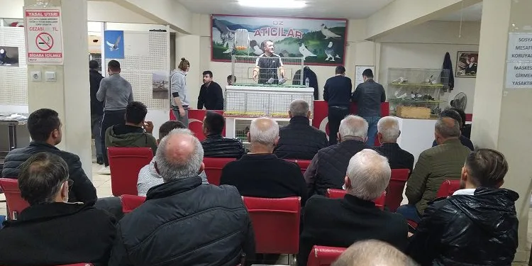 Bursa’da güvercin mezadına akın ettiler