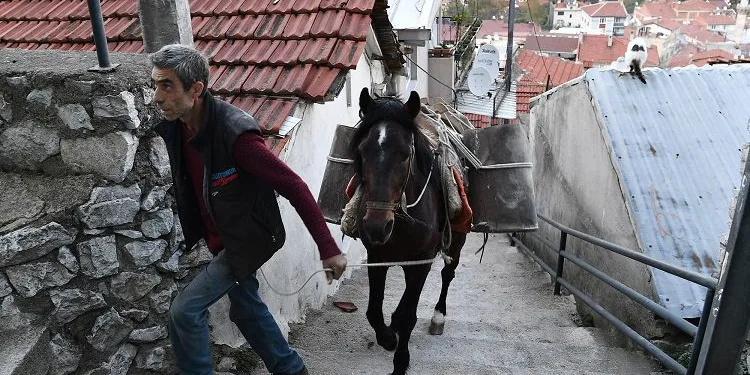 Araç girmeyen sokaklara atla malzeme taşınıyor