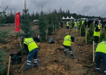 Bursa’da 7,5 milyon fidan toprakla buluşacak