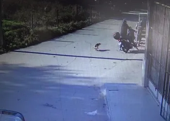 Bursa’da köpekten kaçarken kaza yaptı