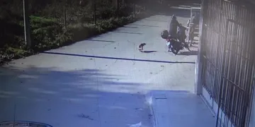 Bursa’da köpekten kaçarken kaza yaptı
