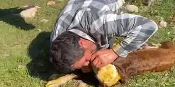 Nefessiz kalan buzağıyı suni tenefüsle hayata döndürdü