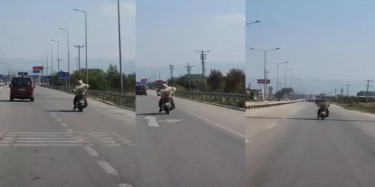 Bursa’da motosikletle tehlikeli yolculuk