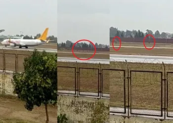 Piste inen uçağın önüne atladılar