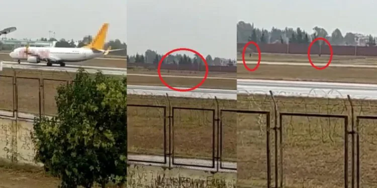 Piste inen uçağın önüne atladılar