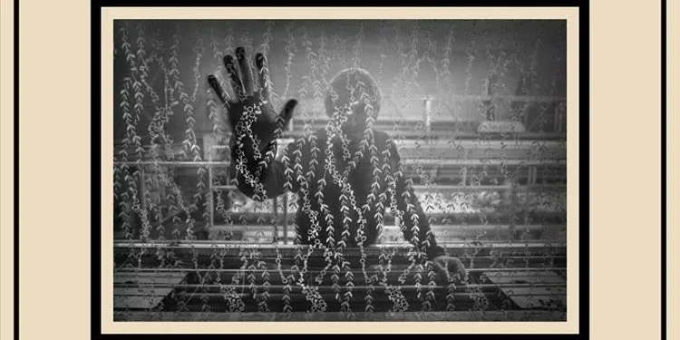 Fotoğraf Maratonu sonuçları belli oldu