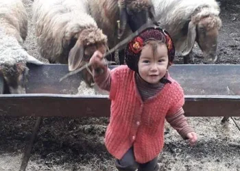 Kayıp Müslüme’den 10’uncu günde acı haber