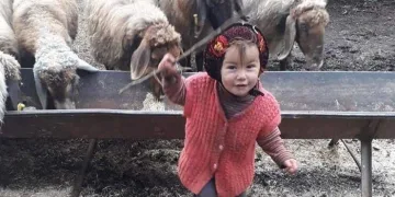 Kayıp Müslüme’den 10’uncu günde acı haber