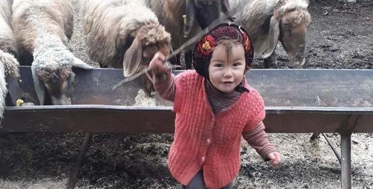 Kayıp Müslüme’den 10’uncu günde acı haber