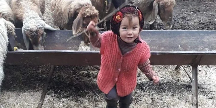 Müslüme Yağal’ın ölümünde dede tutuklandı
