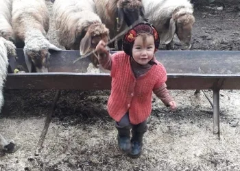 Müslüme’yi arama çalışmaları 7’nci gününde