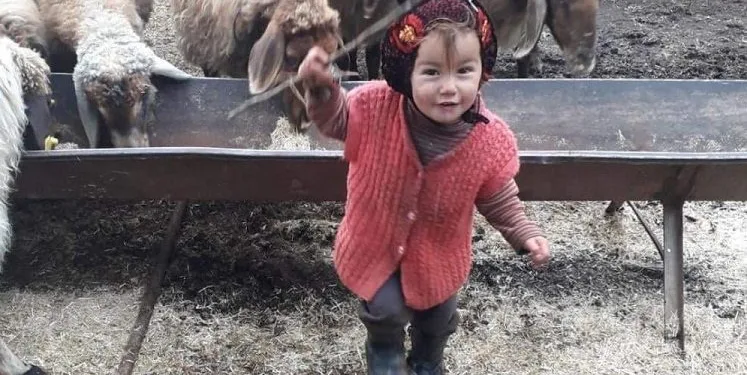 Müslüme’yi arama çalışmaları 7’nci gününde