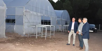 Gemlik Belediyesi’nden uygun fiyatlı sebze ve meyve