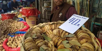 Faydaları saymakla bitmiyor! Kilosu 40 lira
