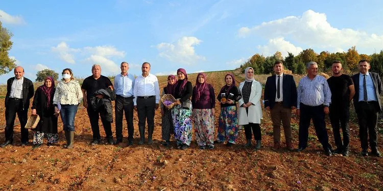 Kırsal kalkınma yatırımlarına destek