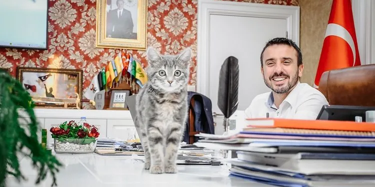 Başkan Tanır’ın sahiplendiği kedi, Kestel Belediyesi’nin neşesi oldu