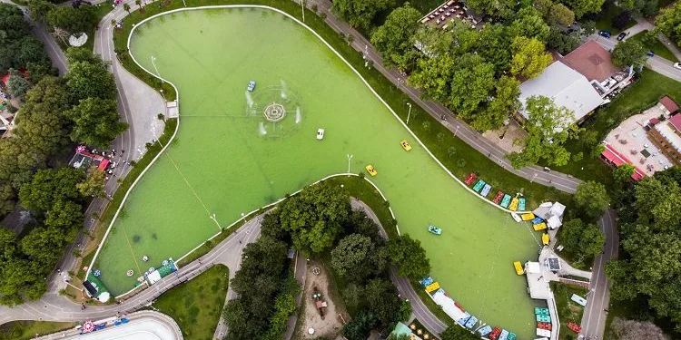 Kültür Park’ta dönüşüm için düğmeye basıldı