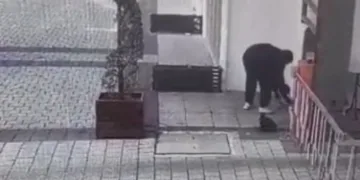 Bursa’da kağıt toplayıcısı kedi mama kutusunu çaldı