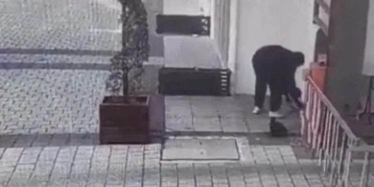 Bursa’da kağıt toplayıcısı kedi mama kutusunu çaldı
