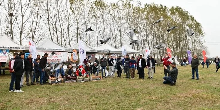 Bursa Mustafakemalpaşa’da Güvercin Uçuş Festivali