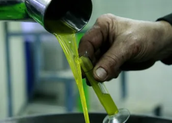 Bursa’da fabrikalarda zeytinyağı mesaisi başladı