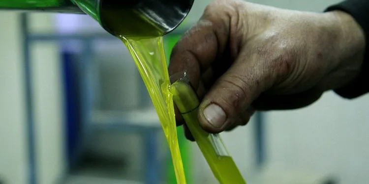 Bursa’da fabrikalarda zeytinyağı mesaisi başladı