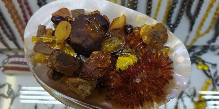 Çoğu kişi kıymetini bilmiyor! Bursa’da 70 bin TL’ye satılıyor