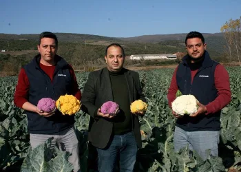 Renklendirici, boya ve GDO yok! Bursa’da üretiliyor