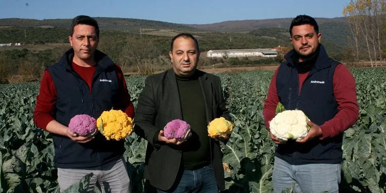 Renklendirici, boya ve GDO yok! Bursa’da üretiliyor