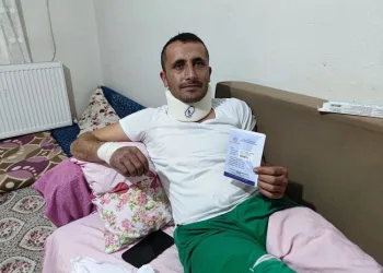 Bursa’da ormanda ayı saldırısına uğradı