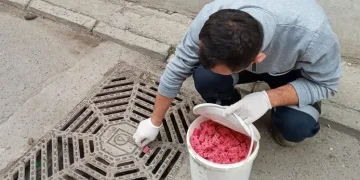 Bursa Osmangazi’de haşerelere karşı mücadele