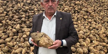 “Türkiye’de şeker krizi yok, bolluğu var”