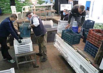 Marmarabirlik’ten 106 milyon TL’lik ödeme