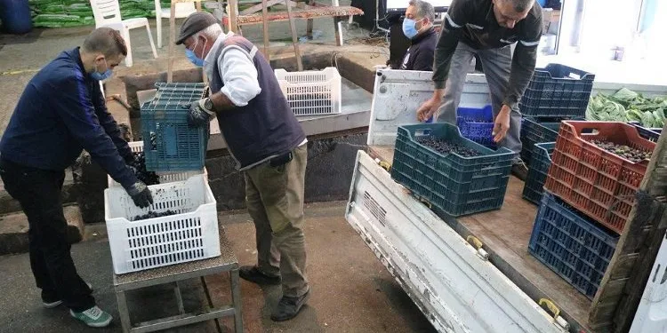 Marmarabirlik’ten 106 milyon TL’lik ödeme