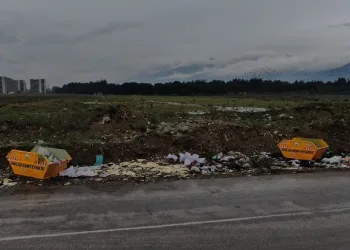 Konteyner konulmasına rağmen çevreyi katlediyorlar!