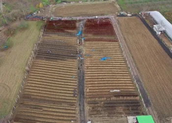 Bursa’dan 9 ülkeye çöğür ihracatı