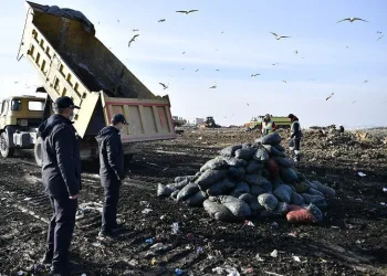 Bursa’da 2 ton sağlıksız midye çöpe döküldü