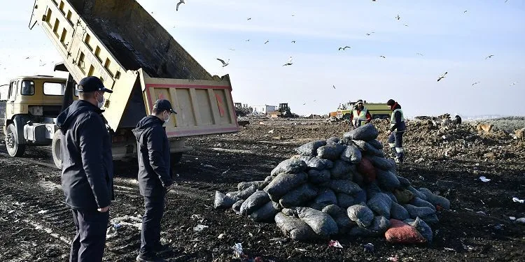 Bursa’da 2 ton sağlıksız midye çöpe döküldü
