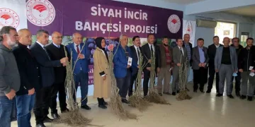 Bursa Mudanya’da siyah incir bahçesi projesi başladı