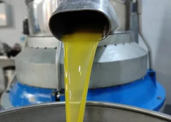 1 kilo zeytinyağının maliyeti 45 liraya çıktı
