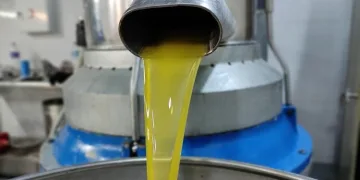 1 kilo zeytinyağının maliyeti 45 liraya çıktı