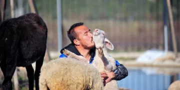 Yangından kurtulan hayvanlar Bursa’da hayata tutundu